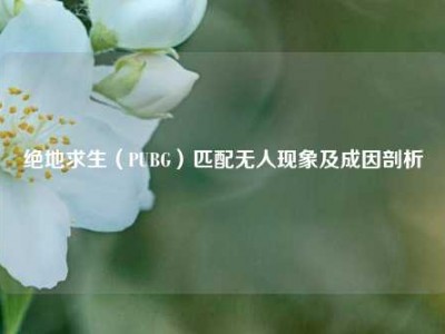 绝地求生（PUBG）匹配无人现象及成因剖析
