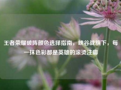 王者荣耀破阵颜色选择指南，峡谷战旗下，每一抹色彩都是英雄的滚烫注脚