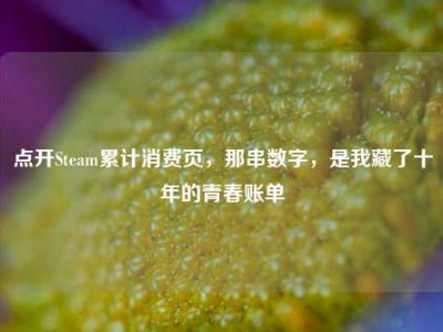 点开Steam累计消费页，那串数字，是我藏了十年的青春账单