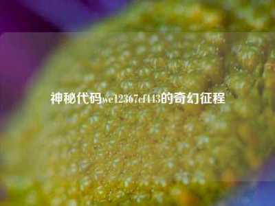 神秘代码we12367cf443的奇幻征程