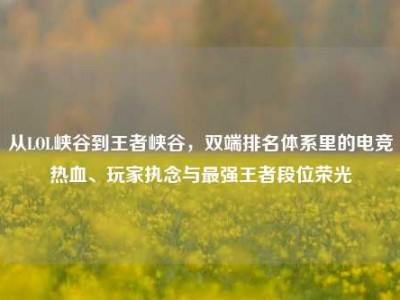 从LOL峡谷到王者峡谷，双端排名体系里的电竞热血、玩家执念与最强王者段位荣光