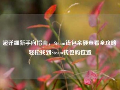 超详细新手向指南，Steam钱包余额查看全攻略 轻松找到Steam钱包码位置