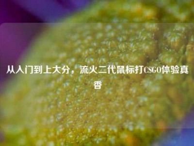 从入门到上大分，流火二代鼠标打CSGO体验真香