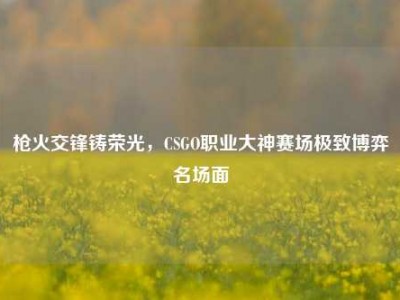 枪火交锋铸荣光，CSGO职业大神赛场极致博弈名场面