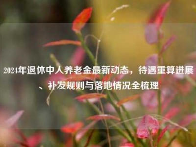 2024年退休中人养老金最新动态，待遇重算进展、补发规则与落地情况全梳理