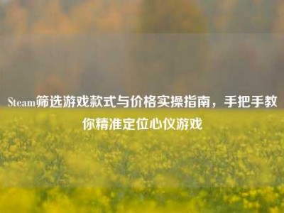 Steam筛选游戏款式与价格实操指南，手把手教你精准定位心仪游戏