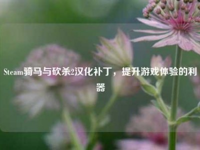 Steam骑马与砍杀2汉化补丁，提升游戏体验的利器