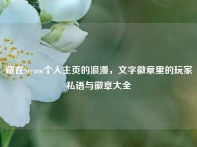 藏在Steam个人主页的浪漫，文字徽章里的玩家私语与徽章大全
