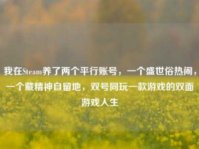 我在Steam养了两个平行账号，一个盛世俗热闹，一个藏精神自留地，双号同玩一款游戏的双面游戏人生