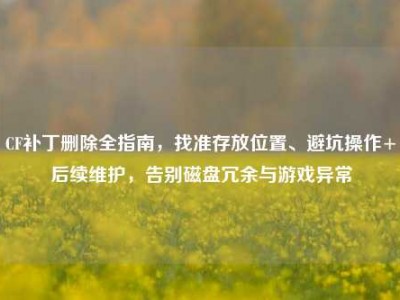 CF补丁删除全指南，找准存放位置、避坑操作+后续维护，告别磁盘冗余与游戏异常