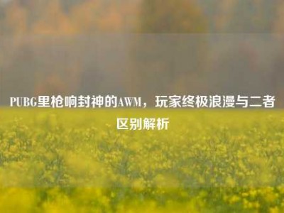 PUBG里枪响封神的AWM，玩家终极浪漫与二者区别解析