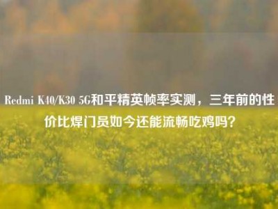 Redmi K40/K30 5G和平精英帧率实测，三年前的性价比焊门员如今还能流畅吃鸡吗？