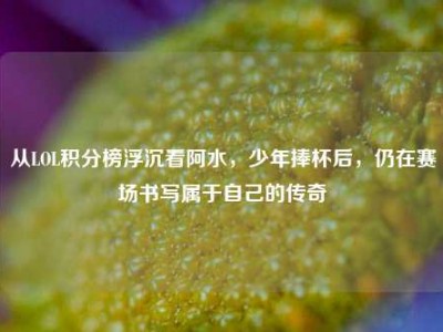 从LOL积分榜浮沉看阿水，少年捧杯后，仍在赛场书写属于自己的传奇