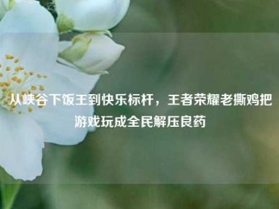 从峡谷下饭王到快乐标杆，王者荣耀老撕鸡把游戏玩成全民解压良药