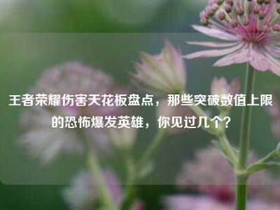 王者荣耀伤害天花板盘点，那些突破数值上限的恐怖爆发英雄，你见过几个？