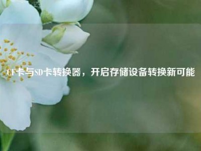 CF卡与SD卡转换器，开启存储设备转换新可能