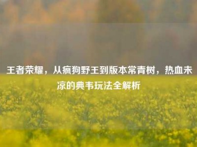 王者荣耀，从疯狗野王到版本常青树，热血未凉的典韦玩法全解析