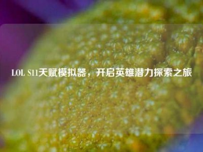 LOL S11天赋模拟器，开启英雄潜力探索之旅