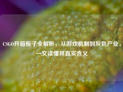 CSGO开箱板子全解析，从游戏机制到灰色产业，一文读懂其真实含义