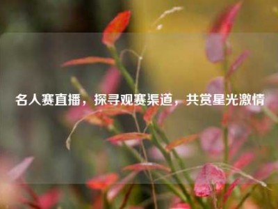 名人赛直播，探寻观赛渠道，共赏星光激情
