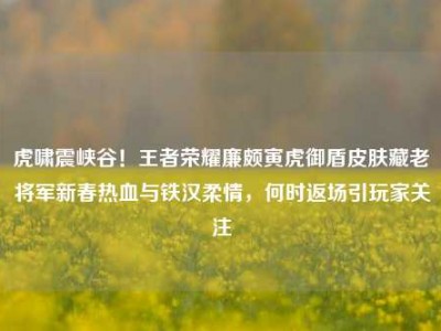虎啸震峡谷！王者荣耀廉颇寅虎御盾皮肤藏老将军新春热血与铁汉柔情，何时返场引玩家关注