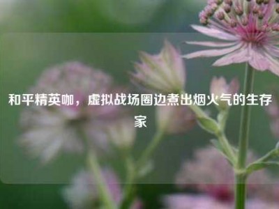和平精英咖，虚拟战场圈边煮出烟火气的生存家