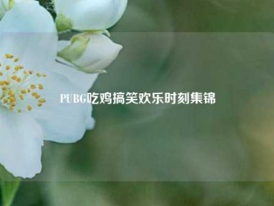 PUBG吃鸡搞笑欢乐时刻集锦