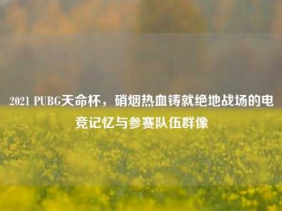 2021 PUBG天命杯，硝烟热血铸就绝地战场的电竞记忆与参赛队伍群像