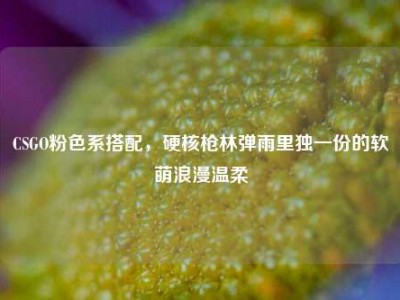 CSGO粉色系搭配，硬核枪林弹雨里独一份的软萌浪漫温柔