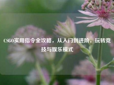 CSGO实用指令全攻略，从入门到进阶，玩转竞技与娱乐模式