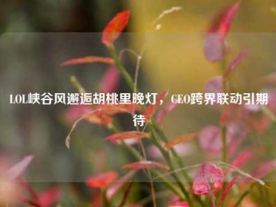 LOL峡谷风邂逅胡桃里晚灯，CEO跨界联动引期待