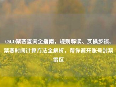 CSGO禁赛查询全指南，规则解读、实操步骤、禁赛时间计算方法全解析，帮你避开账号封禁雷区