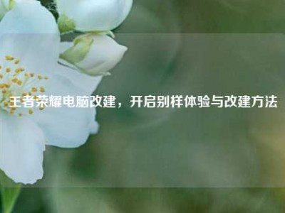 王者荣耀电脑改建，开启别样体验与改建方法