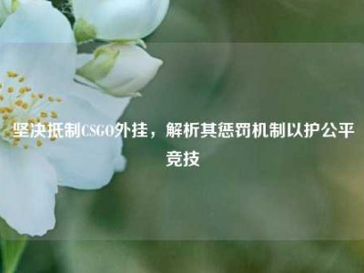 坚决抵制CSGO外挂，解析其惩罚机制以护公平竞技