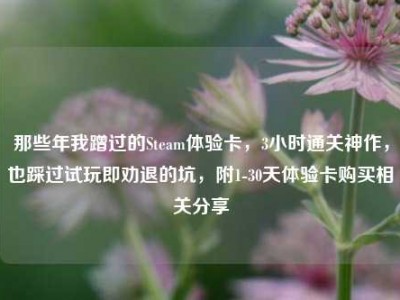 那些年我蹭过的Steam体验卡，3小时通关神作，也踩过试玩即劝退的坑，附1-30天体验卡购买相关分享