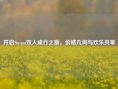 开启Steam双人成行之旅，价格几何与欢乐共享
