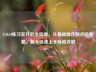 CSGO练习室开启全指南，从基础操作到进阶配置，新手快速上手练枪攻略