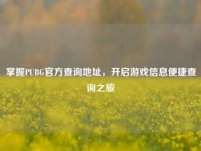 掌握PUBG官方查询地址，开启游戏信息便捷查询之旅