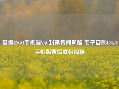 警惕CSGO手机端VAC封禁传闻风险 毛子自制CSGO手机版背后真相揭秘