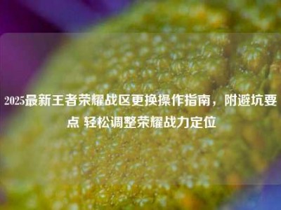 2025最新王者荣耀战区更换操作指南，附避坑要点 轻松调整荣耀战力定位