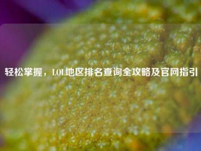 轻松掌握，LOL地区排名查询全攻略及官网指引