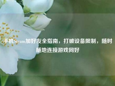 手机Steam加好友全指南，打破设备限制，随时随地连接游戏同好