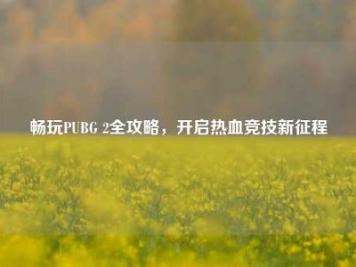 畅玩PUBG 2全攻略，开启热血竞技新征程