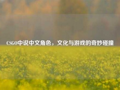 CSGO中说中文角色，文化与游戏的奇妙碰撞