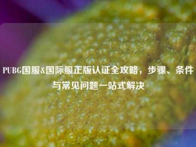PUBG国服&国际服正版认证全攻略，步骤、条件与常见问题一站式解决