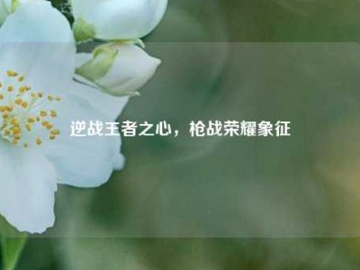 逆战王者之心，枪战荣耀象征