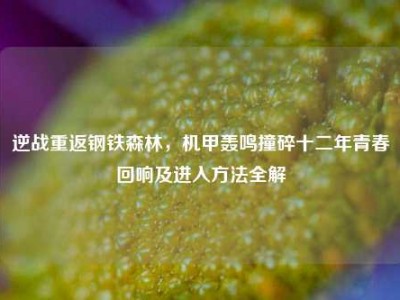 逆战重返钢铁森林，机甲轰鸣撞碎十二年青春回响及进入方法全解