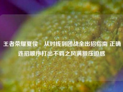 王者荣耀夏侯惇从对线到团战全出招指南 正确连招顺序打出不羁之风满额压迫感