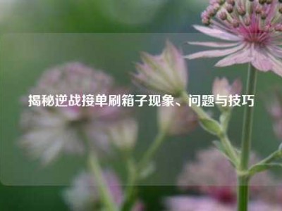 揭秘逆战接单刷箱子现象、问题与技巧