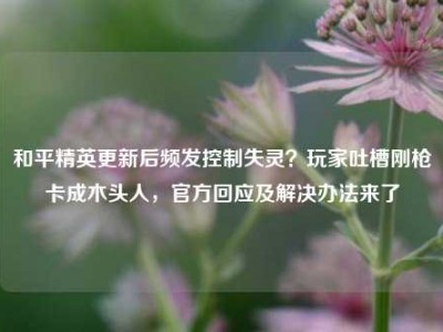 和平精英更新后频发控制失灵？玩家吐槽刚枪卡成木头人，官方回应及解决办法来了